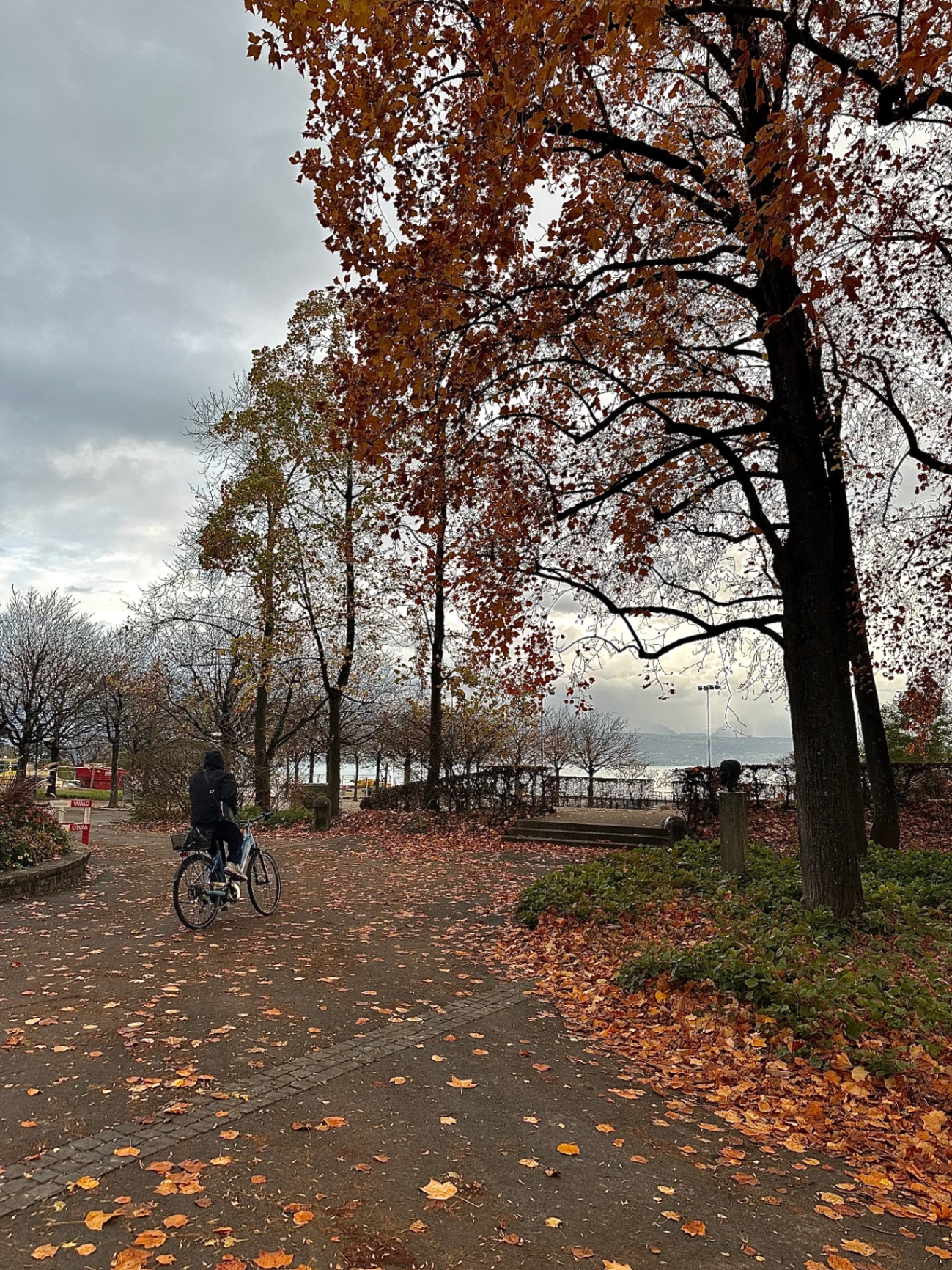 Cycling the lake promenade in autumn